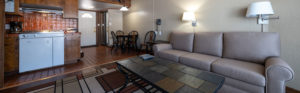 Studio Unit living room, sofa, kitchenette