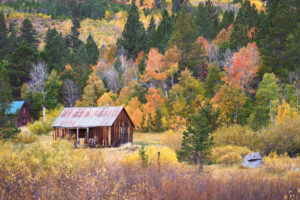 Rustic barn with fall colors in Hope Valley, California
