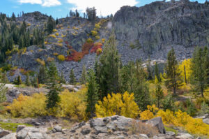 fall colors on trees in Lake Tahoe mountains